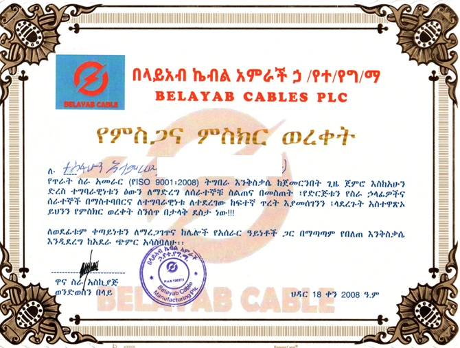 Belayab Cables PLC